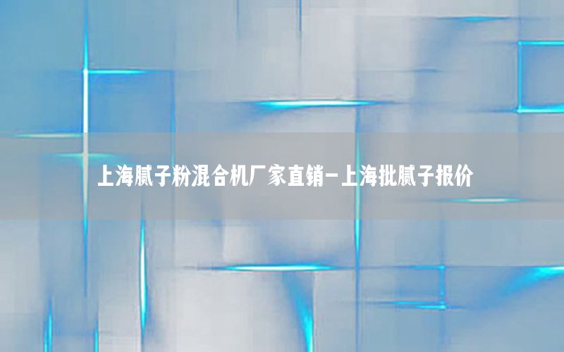 上海膩子粉混合機廠家直銷-上海批膩子報價