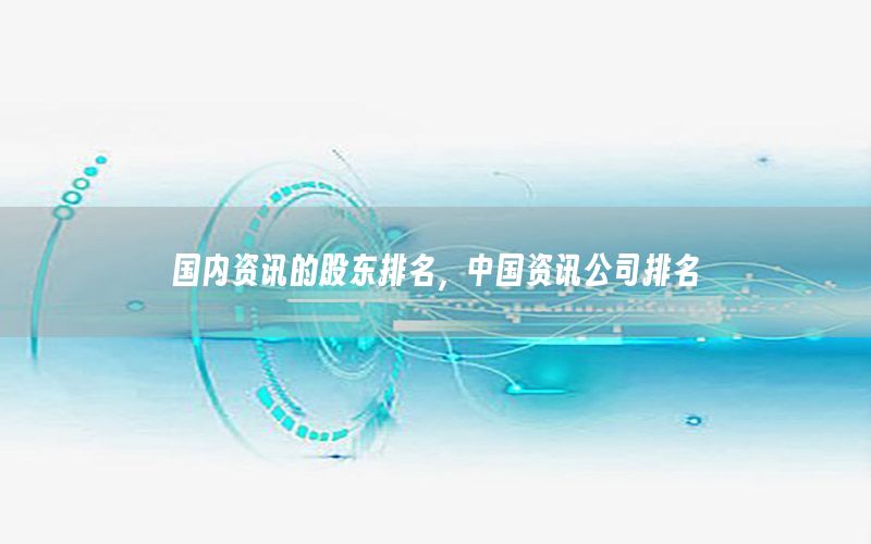 國(guó)內(nèi)資訊的股東排名，中國(guó)資訊公司排名
