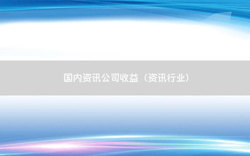 國(guó)內(nèi)資訊公司收益（資訊行業(yè)）