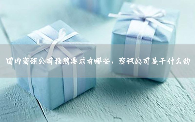 國內(nèi)資訊公司投聘要求有哪些，資訊公司是干什么的