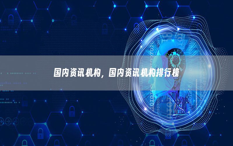 國內資訊機構，國內資訊機構排行榜