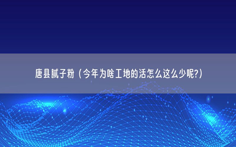 唐縣膩子粉（今年為啥工地的活怎么這么少呢?）